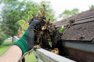 istockphoto-485292592-612x612-1-300x200 Gutter Clean Out